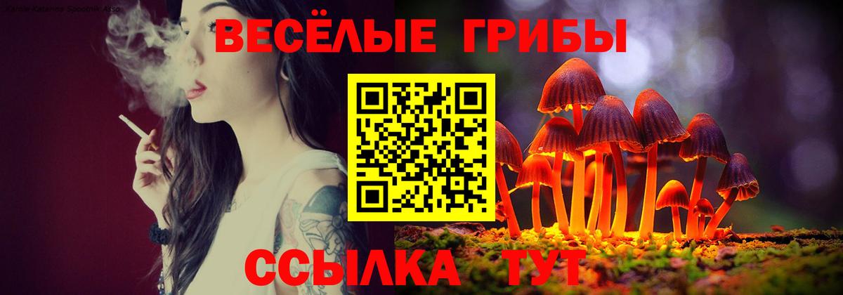 Псилоцибиновые грибы мухоморы  Галлюциногенные грибы мицелий  Дзержинск  Вход с VPN 
